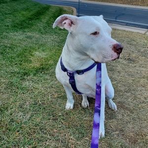 Meet your Posher, Nicki